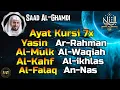 Download Lagu Relaxing Quran Recitation | Ayat Kursi 7x,Surah Yasin,Ar Rahman,Al Mulk,Waqiah,Kahfi, Peaceful Voice