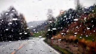 رحلة تحت المطر تغمرها أجواء الحنين والجمال مع أغنيات فيروز 