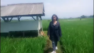 jawaban terbayang bayang