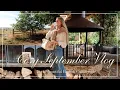 Download Lagu A Cosy September Vlog 🍎 🍂  Blackberry picking, bookstores \u0026 baked pasta recipes 🥧