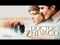 Download Lagu Doctor Zhivago (Lara's Theme) 1Hour