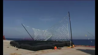                    دندنها
