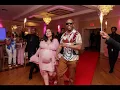 Party gif
