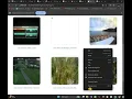 Live Stream IP Camera in C using AForge Display on PictureBox