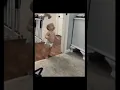 laughing baby gif