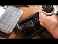 How to Pack Tangiers in an Egyptian Bowl