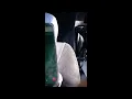 CUIDADO Asi te extorsionan los proxenetas de Mileroticos cuando no concretas las citas