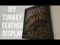 DIY Turkey Feather Display - Part 1