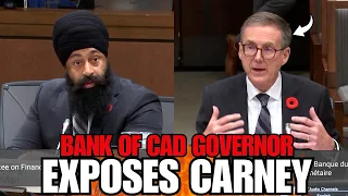 Bank Governor EXPOSES Carney S LIES To Canadians 