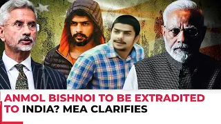 Gangster Lawrence Bishnoi’s brother Anmol Bishnoi to be extradited to India? MEA clarifies