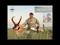 Download Lagu Antelope in one day! Download Lagu Antelope in one day!