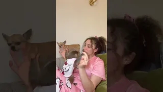 تابعوني Rose Alaaa سناب لتشوفو يومياتي مع لحيوانات 