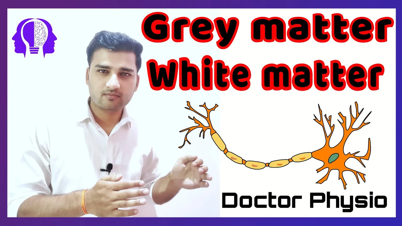 Grey and White matter | neuro anatomy | Doctor Physio