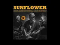 Sunflower (Dizzy song; guitar & drums minimalist mix)