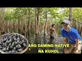 Download Lagu Nagkalat ang mga native na kuhol sa gubat na pinasok namin...Namangha ako sa lugar na ito