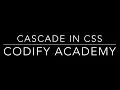 What does Cascade in Cascading Style Sheets mean and why is it important to us front-end developers