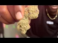Purple Apricot strain review