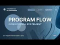 PROGRAM FLOW CONDITIONAL STATEMENT