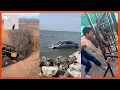 What Could Possibly Go Wrong COMPILATION BEST S FROM REDDIT
