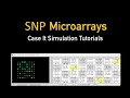 Running SNP microarrays with the Case It simulation