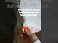 KROGER - GREAT DEAL on trash bags
