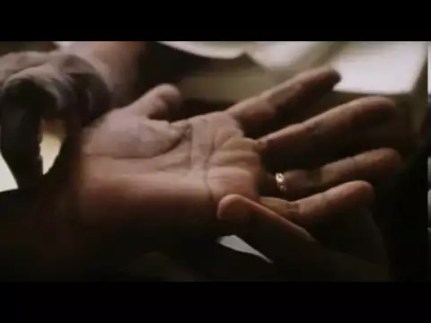 Ayurveda - Art of Being 1-7