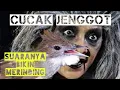 Download Lagu Cucak Jenggot Rasa Kuntilanak