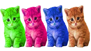 Learn colors with Tiny Rainbow Kittens /w Surprise Soccer | Fun Quiz Game for Kids & Toddlers
