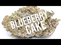 Blueberry Cake review