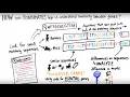What is Bioinformatics
