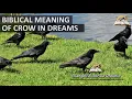 Biblical Meaning of CROW in Dream - Crows Raven Symbolism