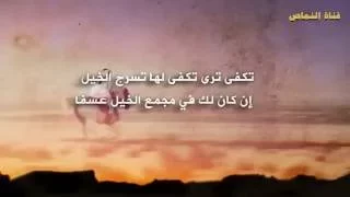 شيلة    تكفى ترى تكفى تهز الرجاجيل    للشاعر محمد الدحيمي دندنها