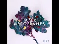 Race You Home - Paper Aeroplanes