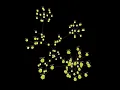 A Force-Directed Graph Built with Three js and React