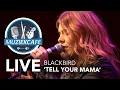 Download Lagu Blackbird - ‘Tell Your Mama’ live bij Muziekcafé
