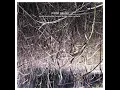Don't Go Where I Can't Find You - Eraldo Bernocchi, Harold Budd & Robin Guthrie