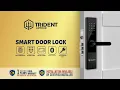 TRIDENT ARTHUR SMART DIGITAL DOOR LOCK - FINGERPRINT CARD CODE KEY BLE RENTAL AIRBNB TTLOCK APP