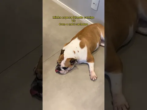 AGORA NÃO PODE NEM 💩 NO CHÃO MAIS