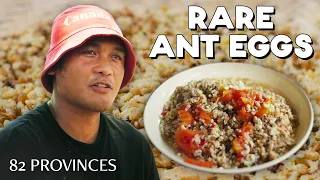 THE CAVIAR OF ILOCOS PHILIPPINES (Abuos)