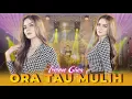 Download Lagu Irenne Ghea - Ora Tau Mulih | Duta Nirwana Music [OFFICIAL]