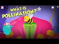Download Lagu What Is Pollination? | POLLINATION | The Dr Binocs Show | Peekaboo Kidz