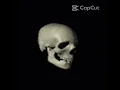 Spinning skull head trend yeat already rich 1 hour