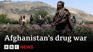 Download Inside the Taliban's war on drugs - BBC News MP3