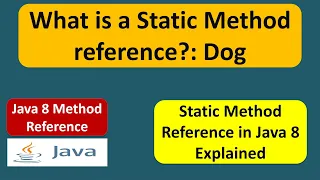 What is a Static Method reference - Dog Java 8 method reference Method reference in Java 8