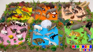 ANIMALES para Niños y Dinosaurios 🐘🌾 Videos infantiles | Mimonona Stories