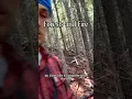 Download Lagu I love forests and trees, always sad when they get burned. #forestry #hardwork #forestrestoration