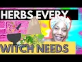 Uncover the 10 MUST-HAVE Herbs for Witchcraft School of Magick