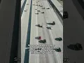 The Mystery of Aunt Diane A Wrong-Way Crash That Killed 8
