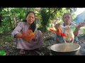 Download Lagu HABIS TERIMA RAPOT LASUNG BAKAR AYAM SATU EKOR