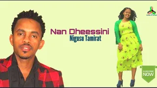 Nigusu Tamirat Nan Dheessini Ethiopian Afan Oromo Music 2021 